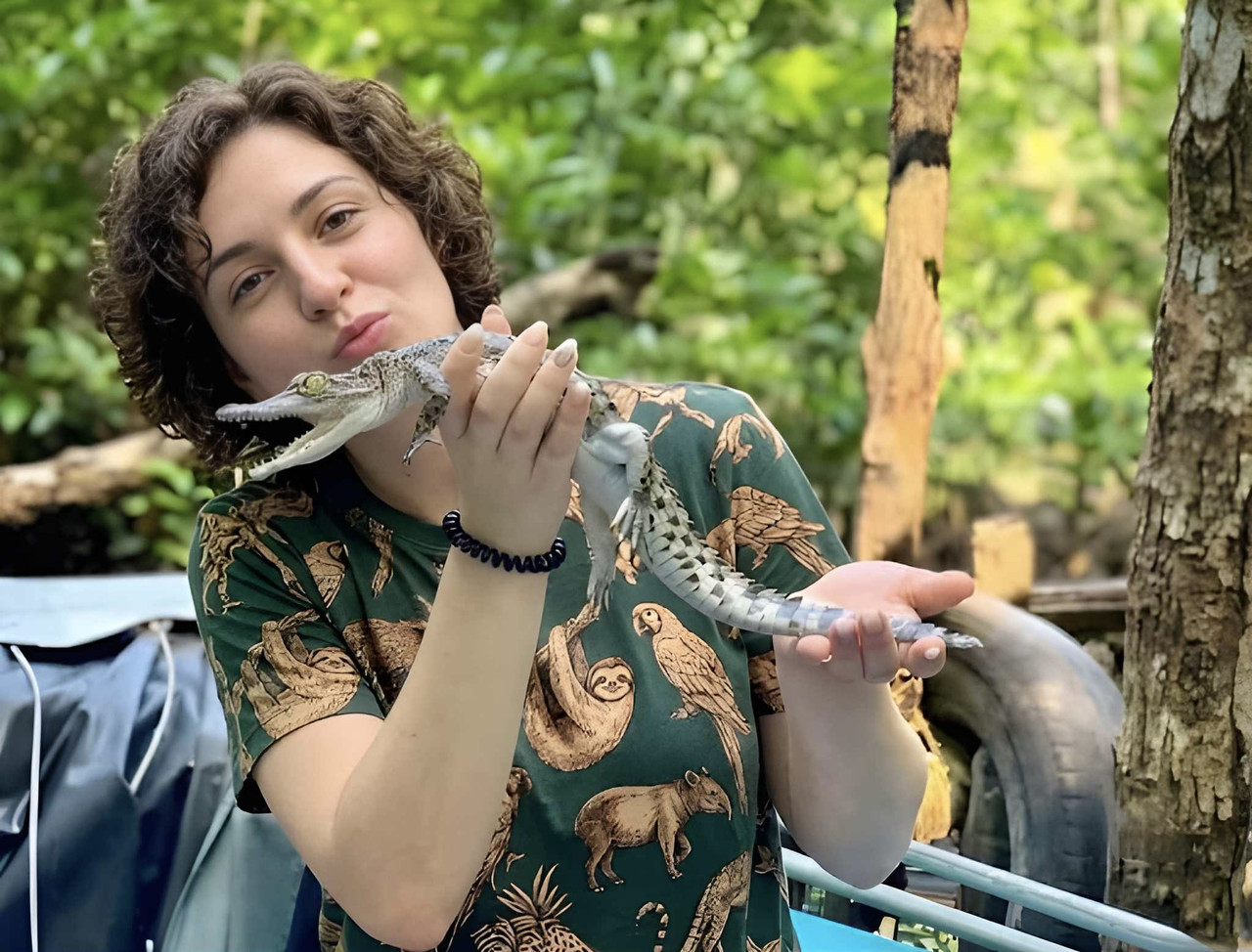 Crocodile in Hand 1