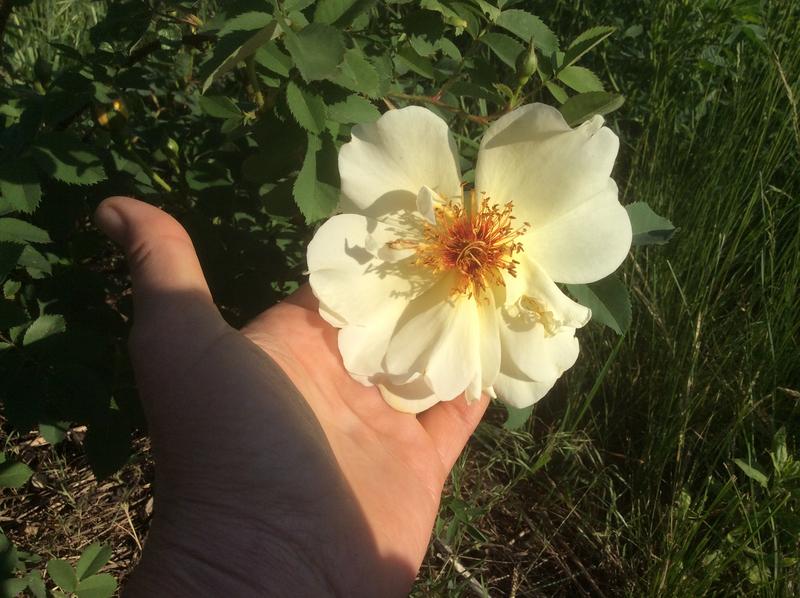 CE04358C-973B-430E-B1E7-3212C7BD1295