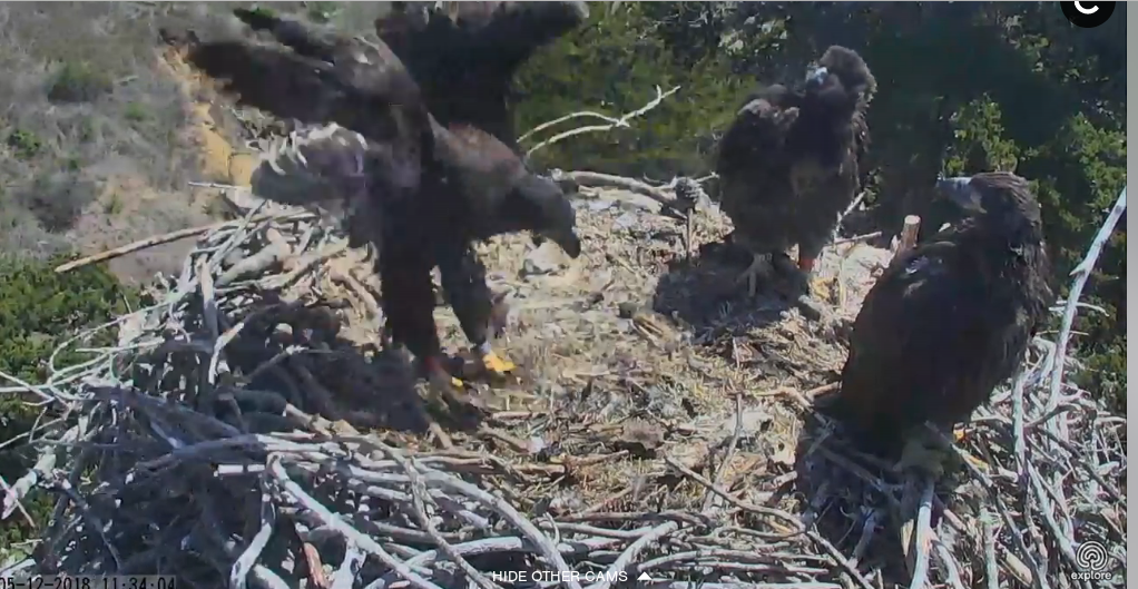 Képernyőkép – 2018-05-12 20-36-39