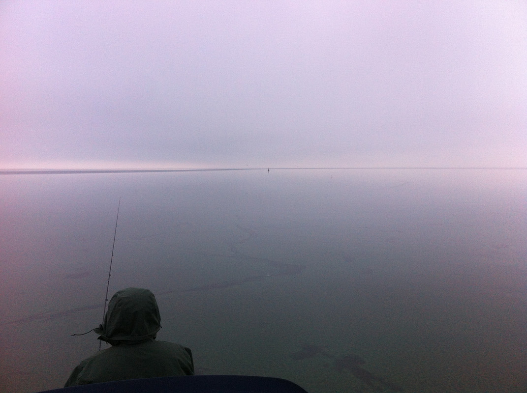 фотография 2