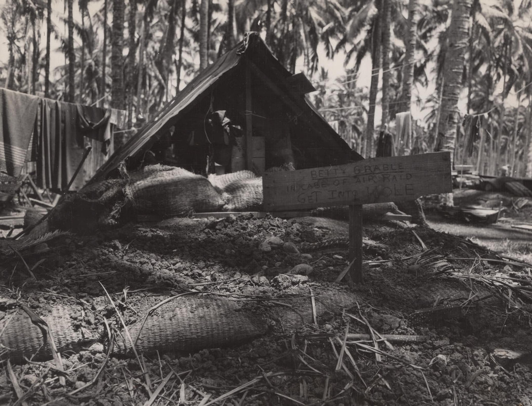 325780145-488896599858033-83374741254957