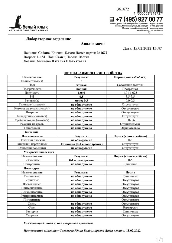 Screenshot_20220215-164450_Samsung Notes