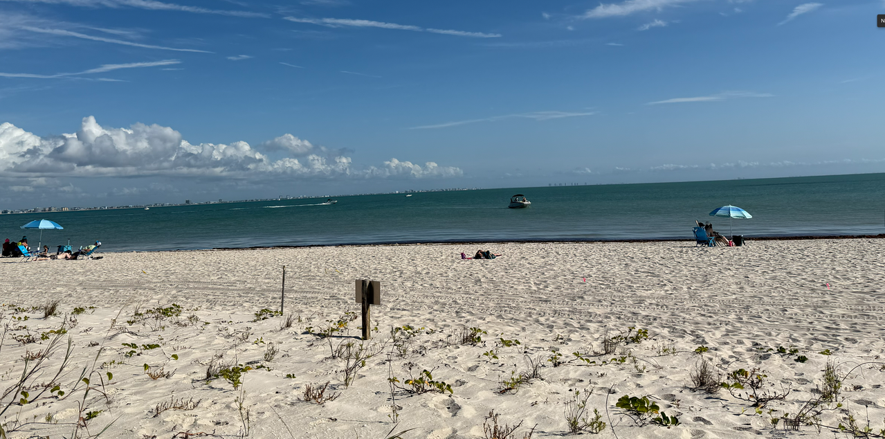 [Image: Sanibel-Beach-B5.png]
