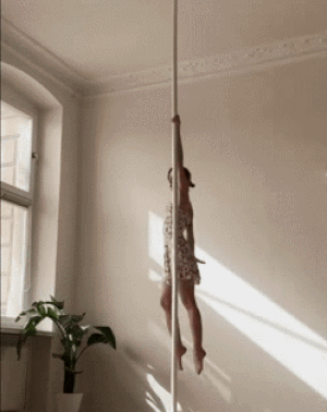 IMG-6788.gif