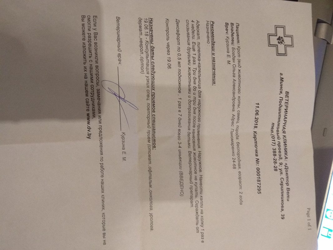 назначения курзиной1