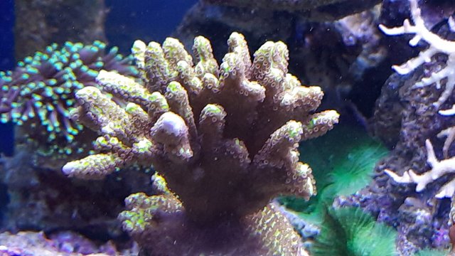 WhatsApp Image 2021-02-19 at 12.49.28 (2)