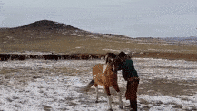 1651415405757.gif