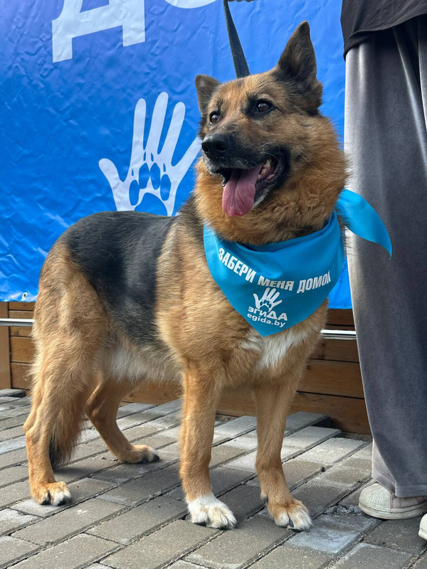 IMG_20250816_232223_362