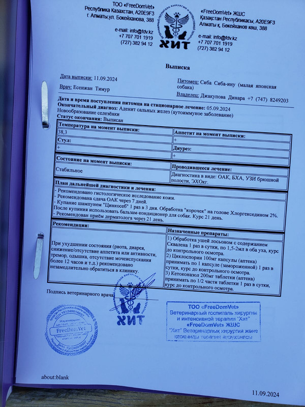 11.09.24 дерматолог ФОТО2