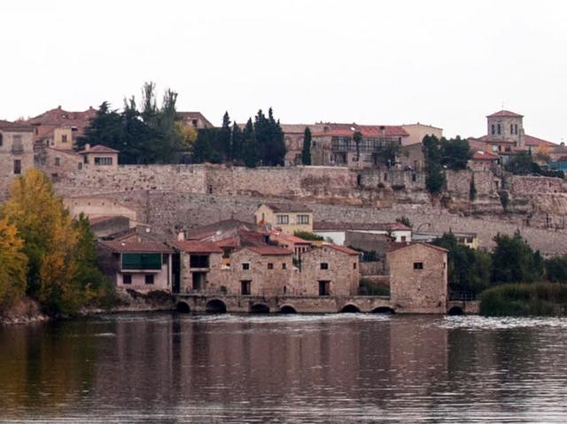 ZAMORA, TORO y "Las Edades del Hombre" - Blogs of Spain - Sábado en Zamora (38)