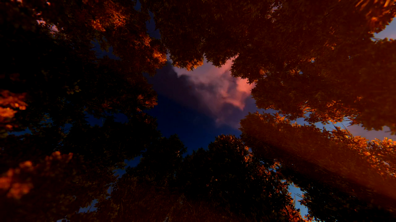 300mbunited.me--00008