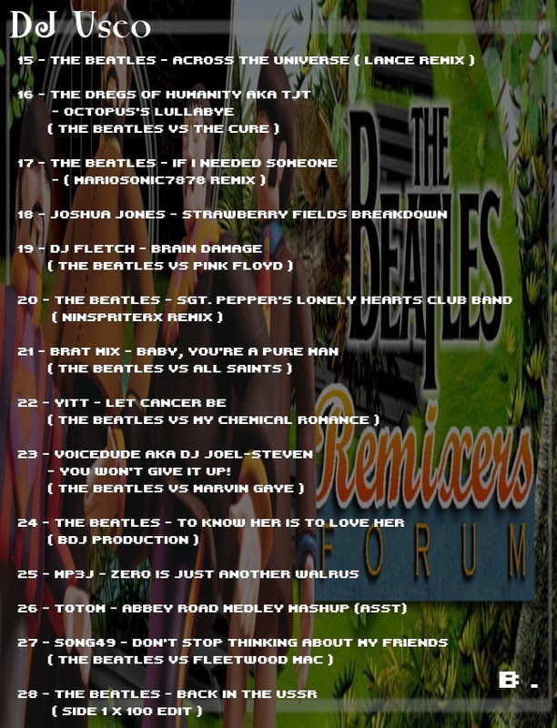 djuseo-BRG-mix-back-b.jpg