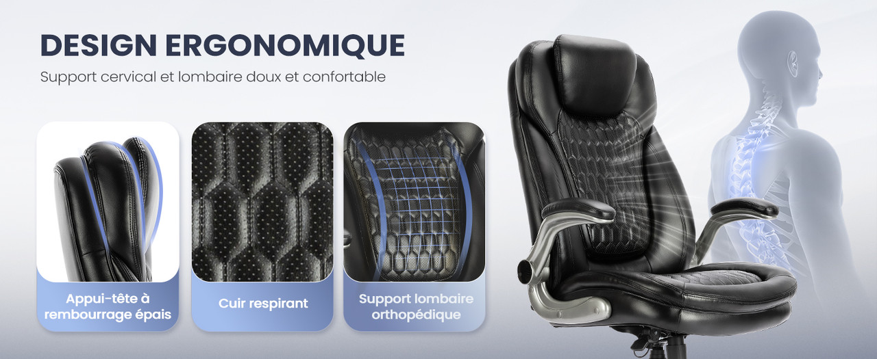 Dossier ergonomique COLAMY