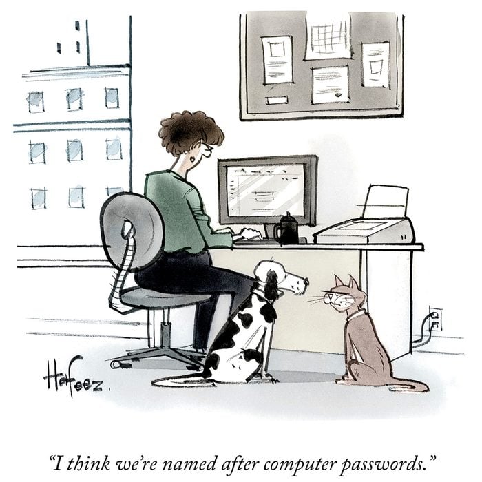 Pet-Passwords.jpg