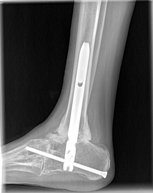 1310F074-500F-4633-8297-8A1B1E9927E9