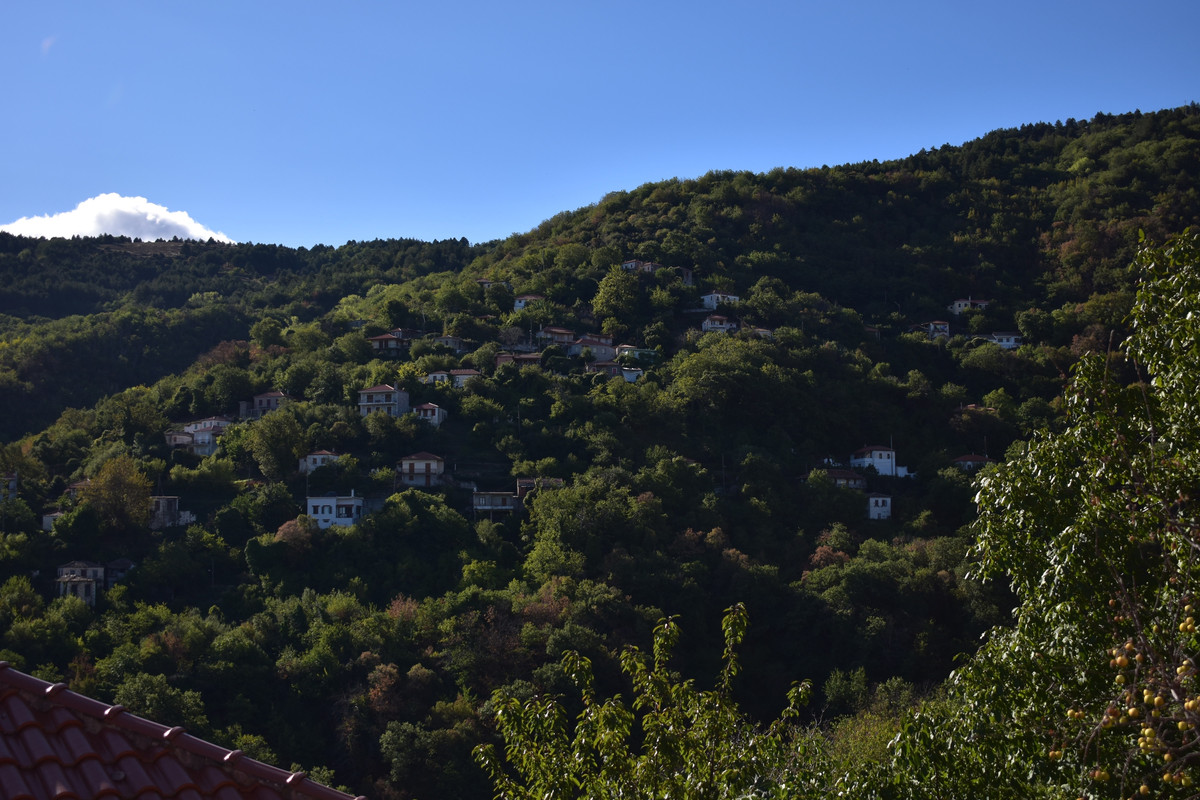 Άνω Δολιανά (8)