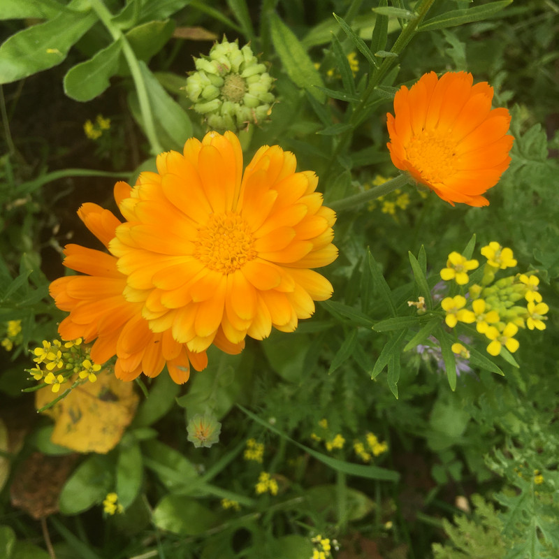 дачное и по ремонту недоделки 049