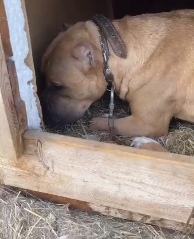 63B1BCE4-571E-4BB6-8C8A-3049D596A929