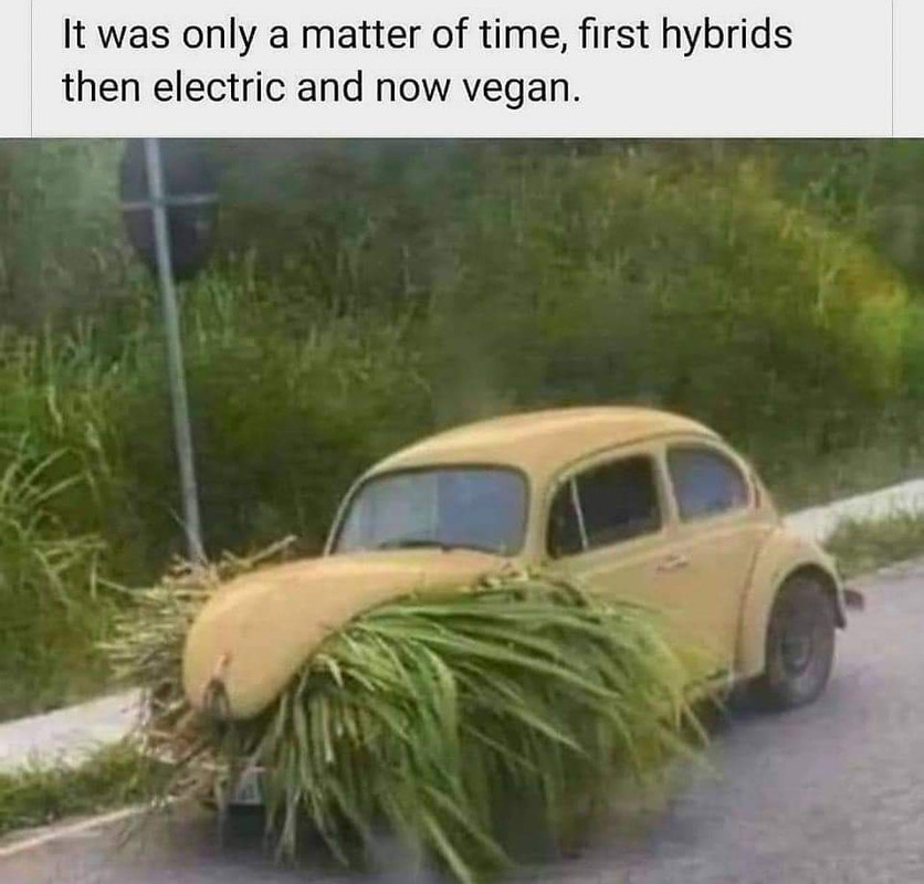 _vegan_car