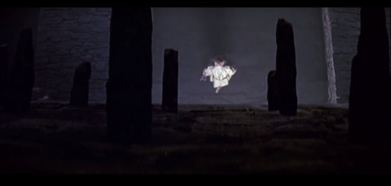 L'hiver des papillons (Piotr Vikdia, 1967)