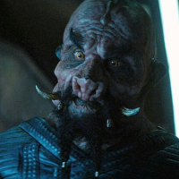 dsc-best-beard-av3.jpg