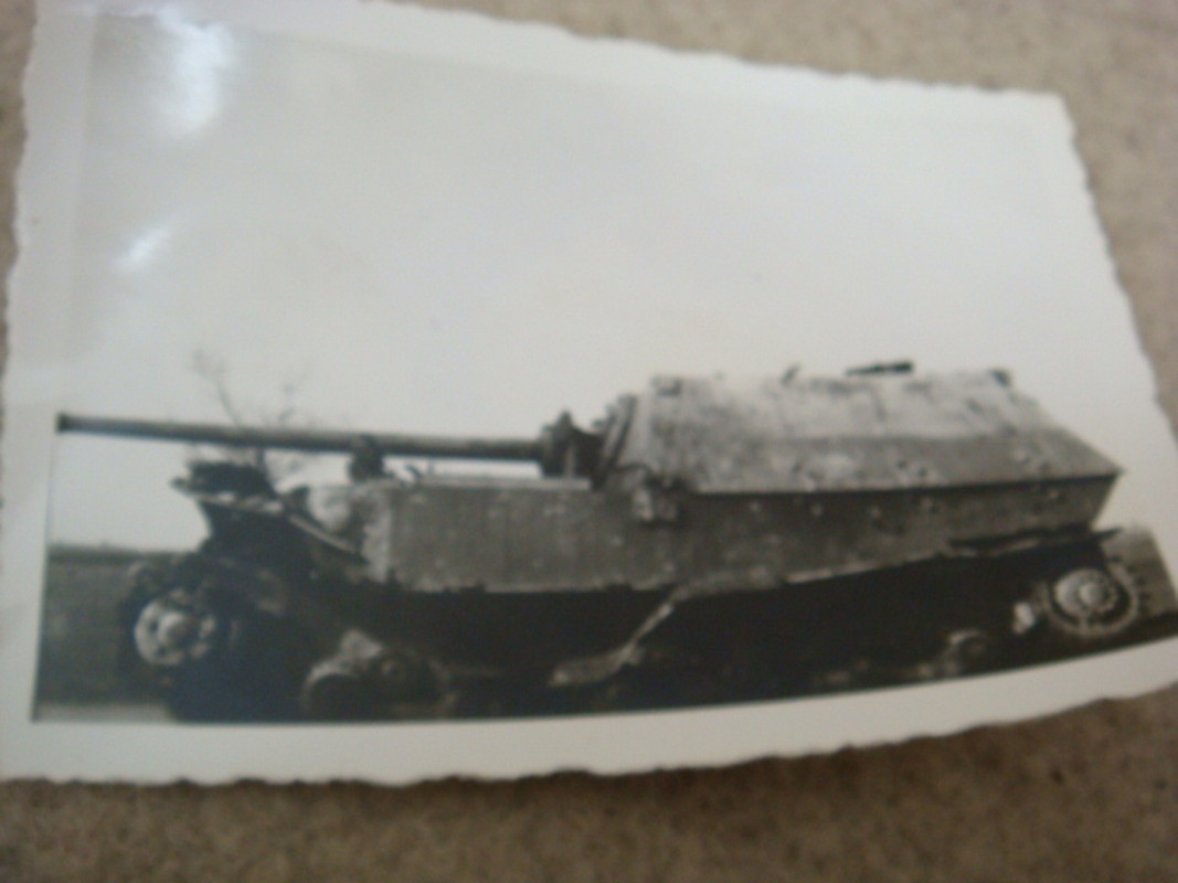 GI PHOTOS OF GERMAN TANKS FROM ANZIO BATTLE (2)