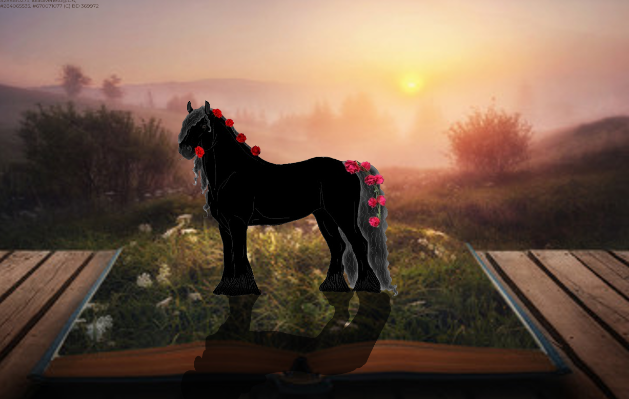 CQE-Contest-completed-image.png
