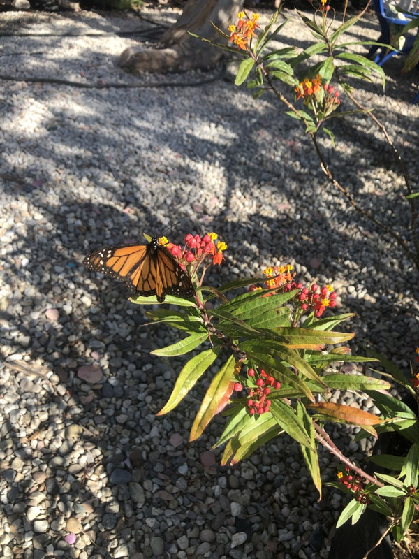 73-C6801-D-9-DFB-4671-A625-0-F9-CF97-C54-C3-1-105-c