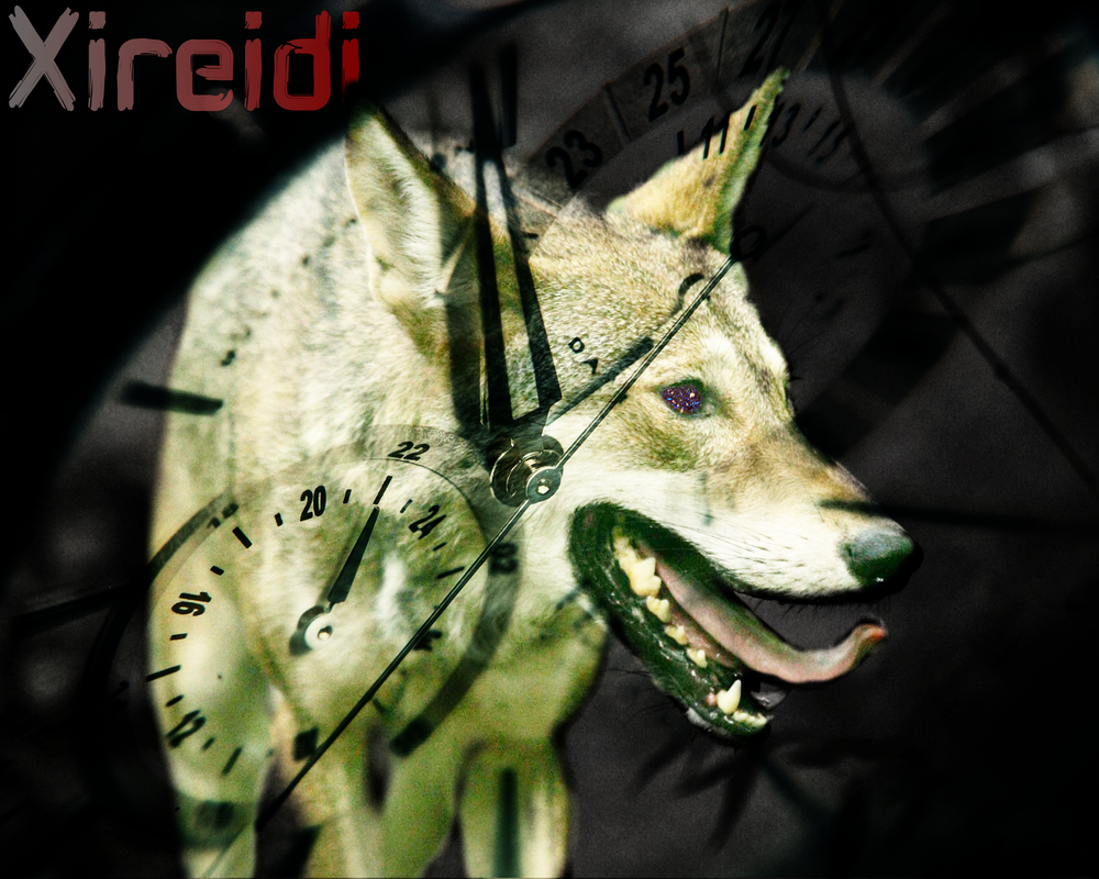 [Image: Xireidi-with-name.png]