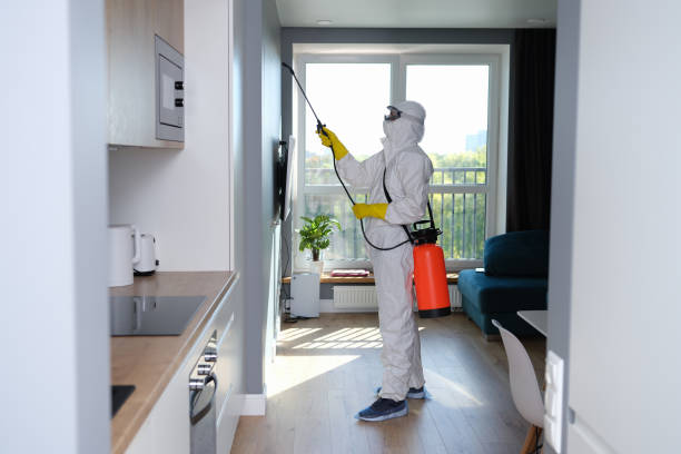 Orlando Termite Treatment