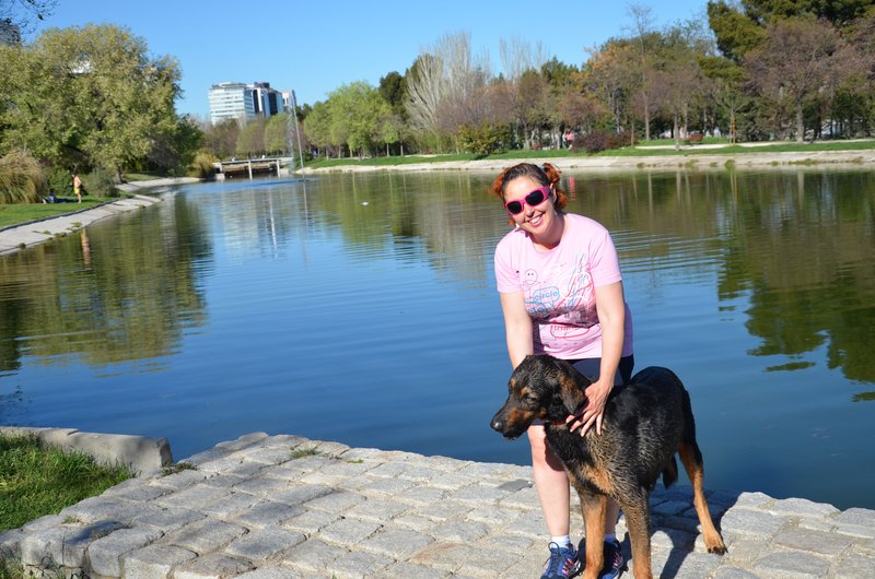 PARQUE ENRIQUE TIERNO GALVAN-2013 AL 2017-MADRID - Paseando por España-1991/2017 (43)
