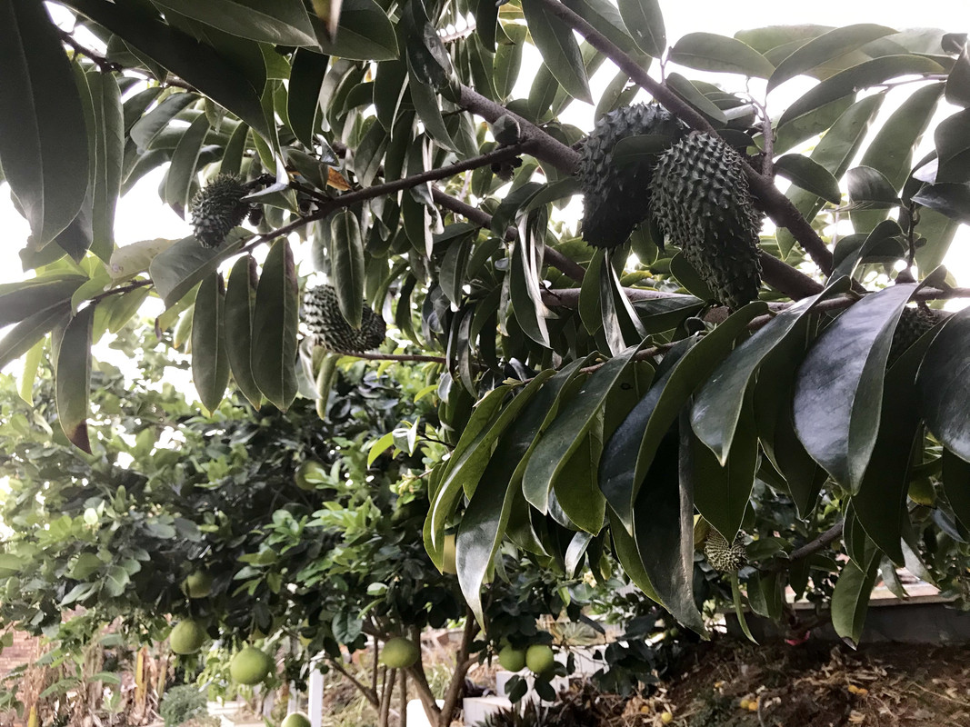 6343D325-74D8-4902-95D7-138B0E459948