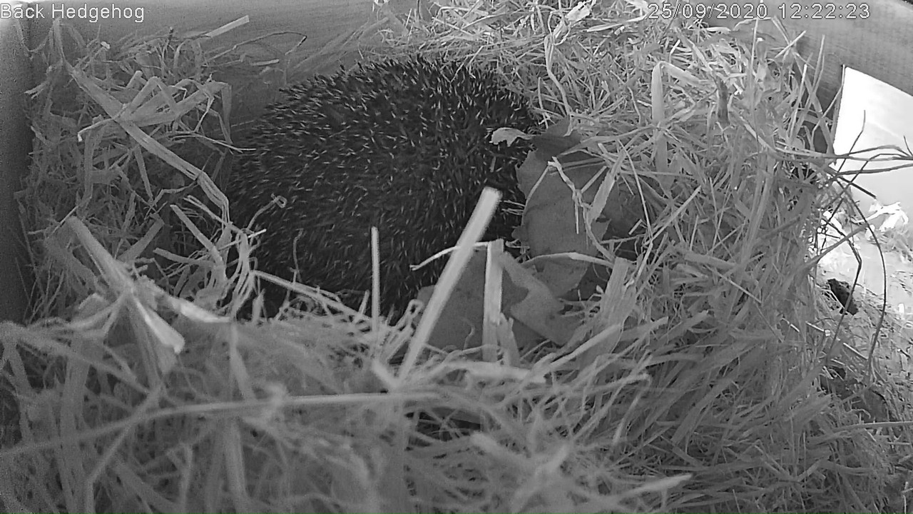 A39D8DDF-2B46-46E7-BB0E-0171812B92C8