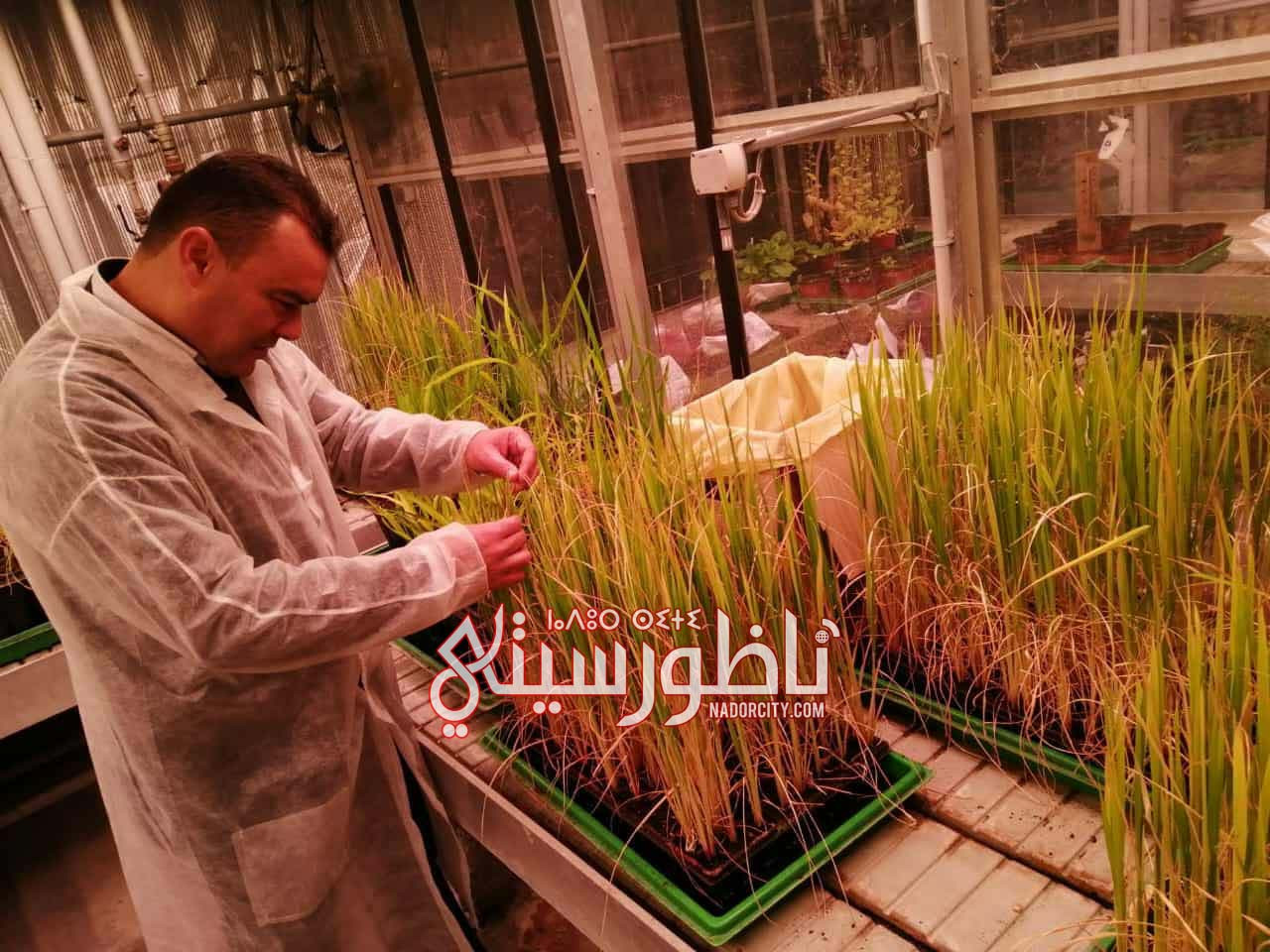 e2d97033-0a14-40de-9306-77ecd34844c1