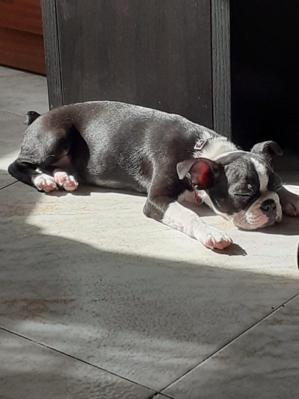 234EE9E4-C529-41F0-B0F3-C58A0041850B