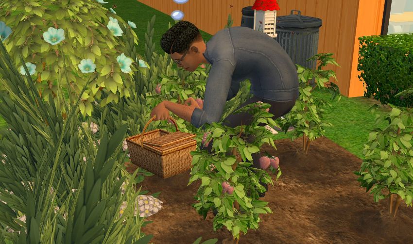 Sims2-EP9-2021-01-16-11-08-22-95