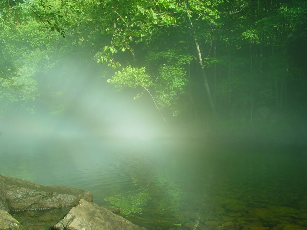 Shazim Creations1 (23)