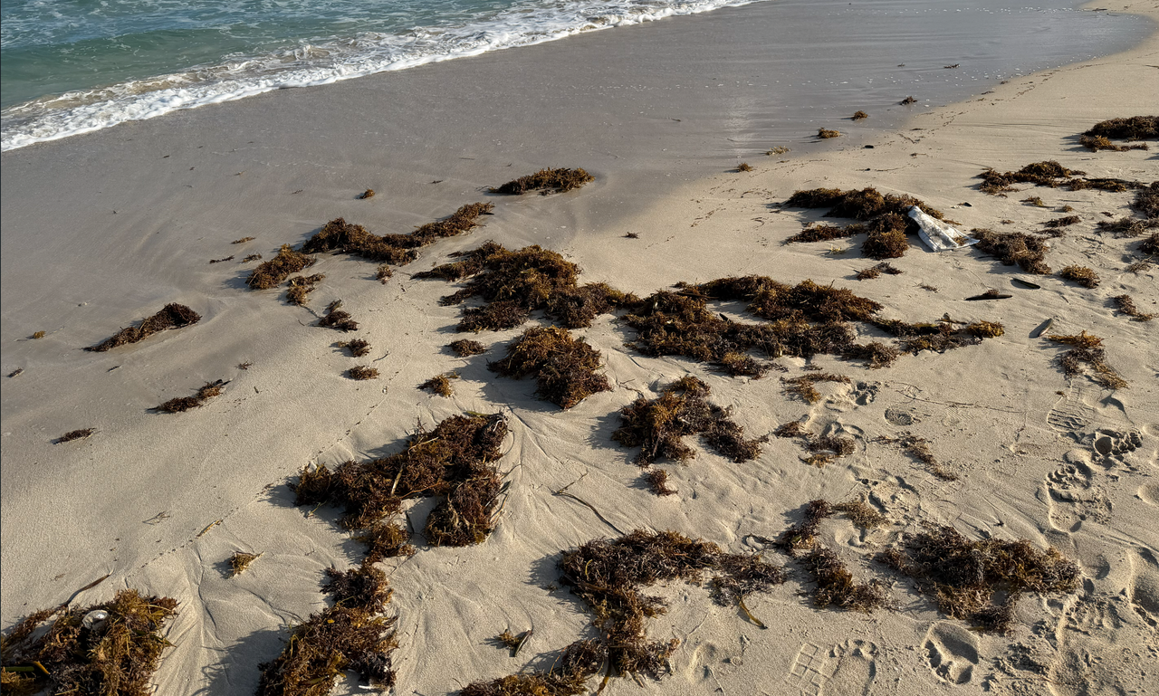 [Image: South-Pointe16.png]