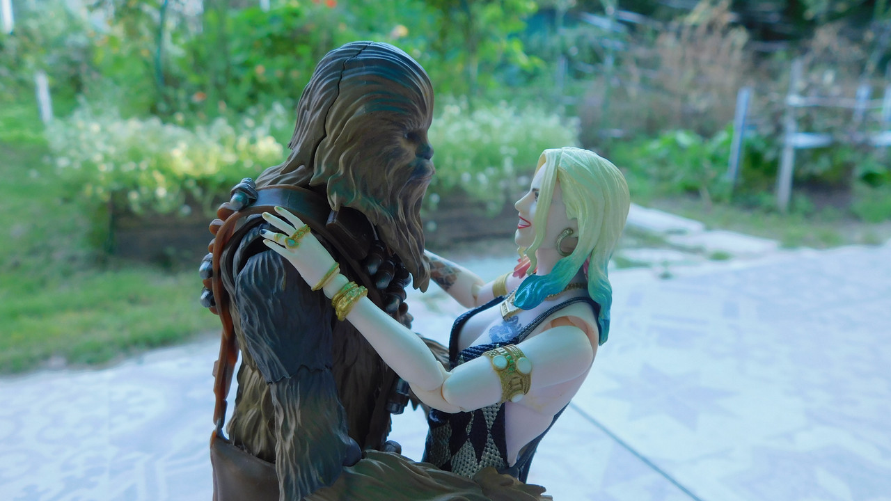 Дачно-барбейское июль, Харлинское 2-я серия 210