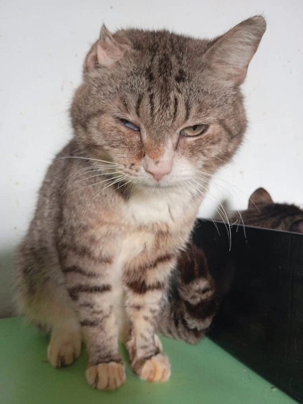 WhatsApp Image 2025-05-05 at 15.27.43 (1)