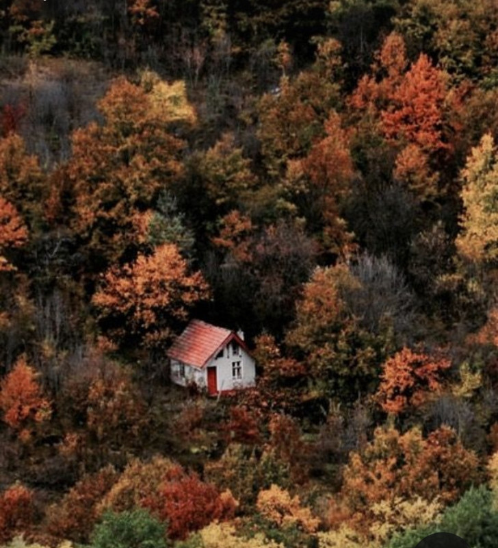 Screenshot_20231115_213845_Pinterest