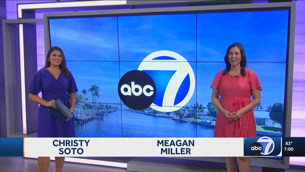 07.25 - 00.00.00 - ABC7 7O'Clock News  ᴺᵉʷ. No Description Info.ts_snapshot_03.25.305