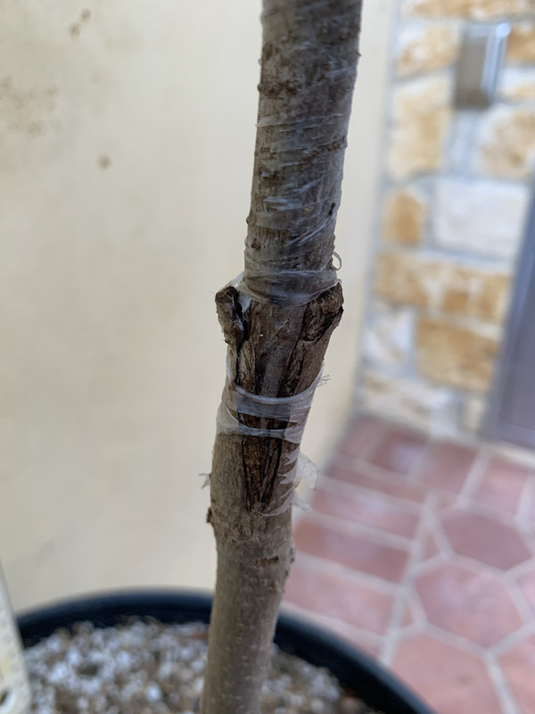 F077F59A-0034-475E-99D2-F64B61292445