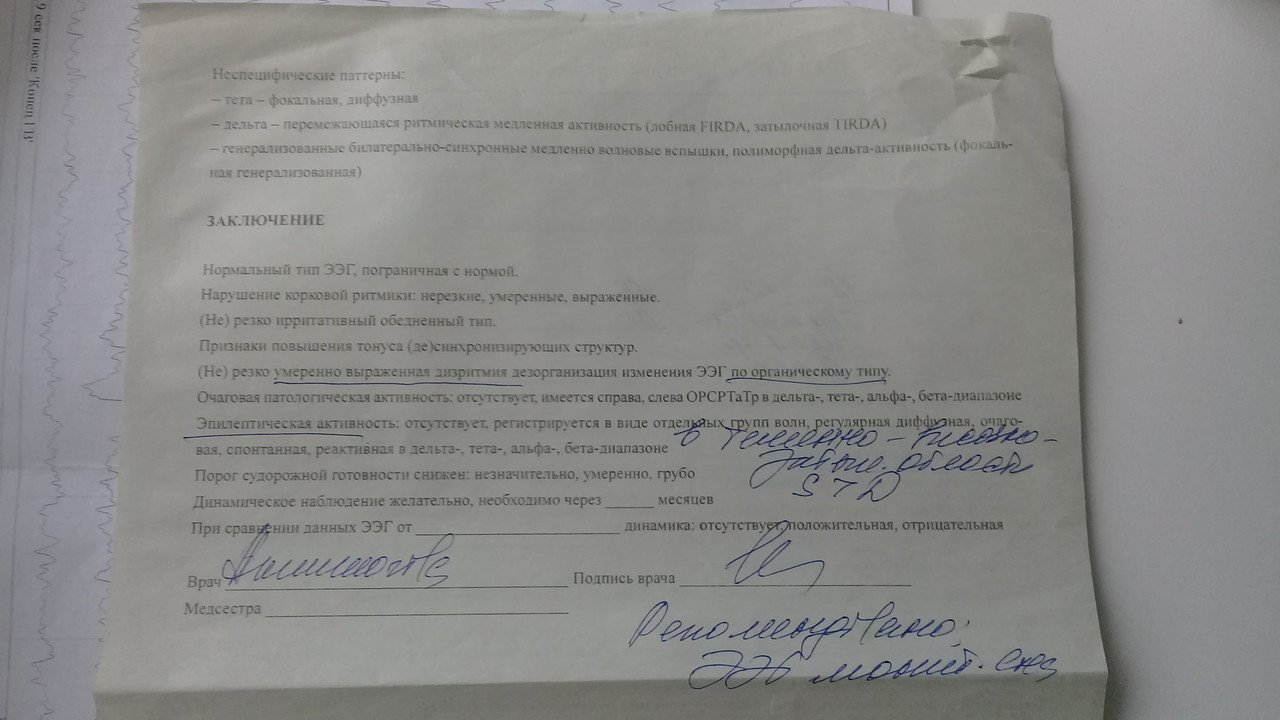 заключение 3 стр