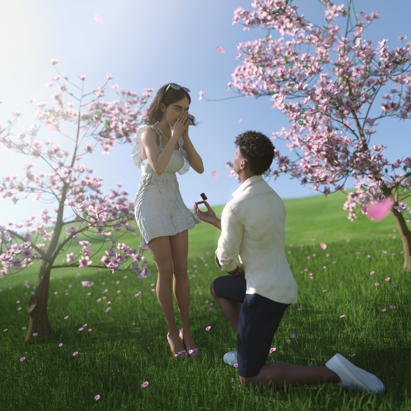 ContestSpring