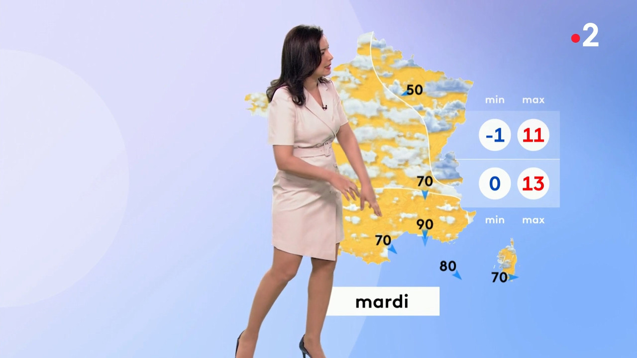 2021-04-11_12_55_Fr2_Meteo.mp4_snapshot_08.51.181