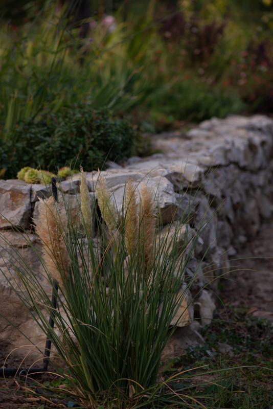 IMG-3e7cf033515c78d2f2e7d2cde2c4050b-V