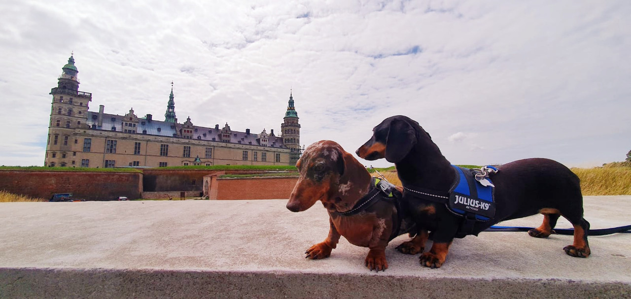 [Image: IMG-20220724-WA0010.jpg]