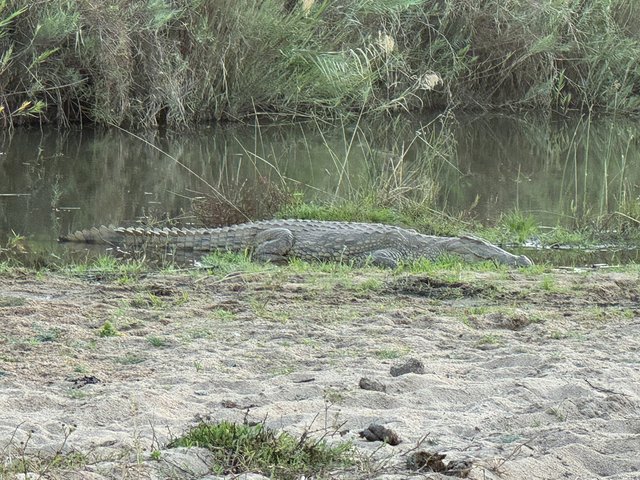 [Linked Image from i.postimg.cc]