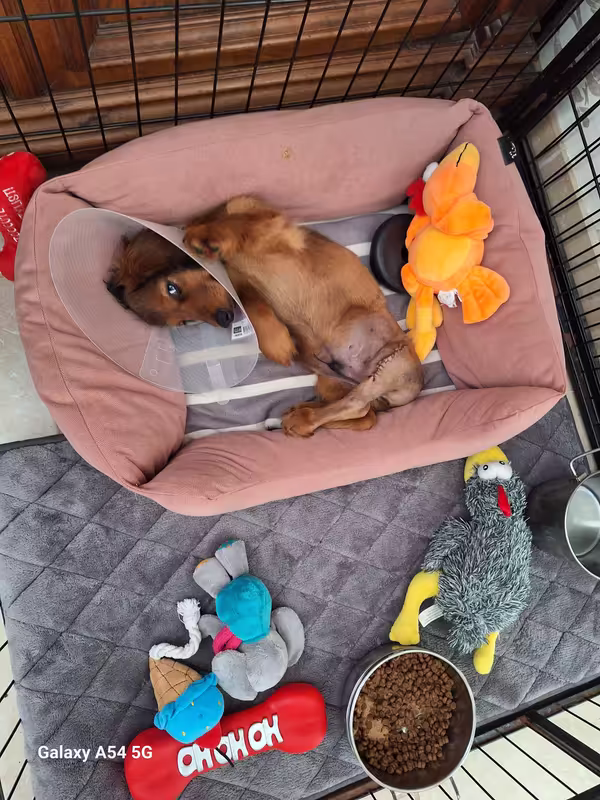 [Image: 20240915-141649.avif]